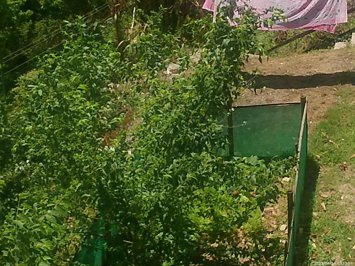 Mountain View Homestay Kalimpong Buitenkant foto