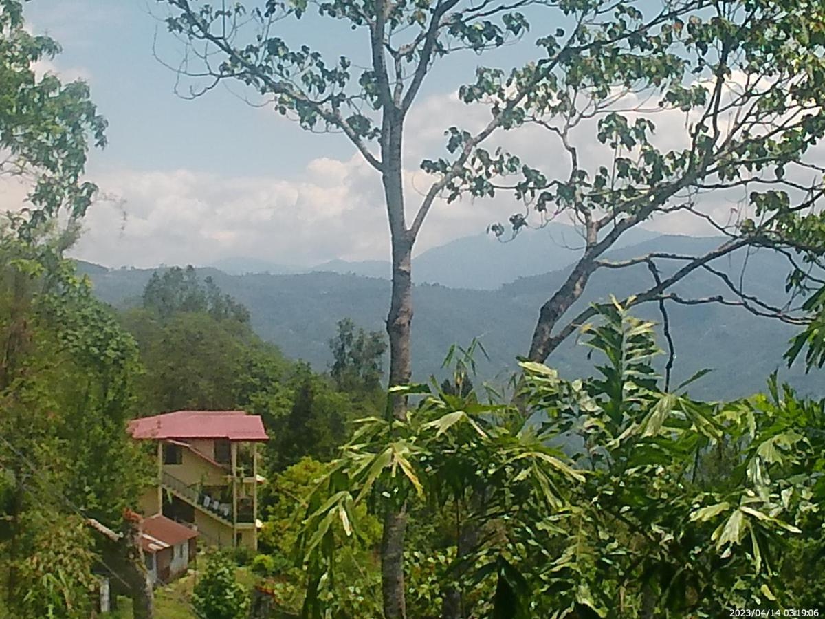 Mountain View Homestay Kalimpong Buitenkant foto
